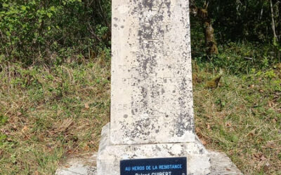 Devoir de mémoire : 23 Juillet 1944, la Bataille de Massangis – UD 89