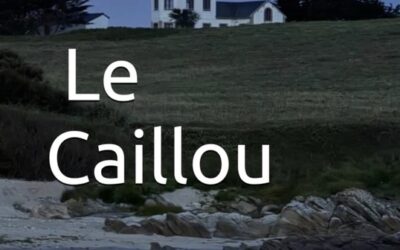 Lu pour vous : Le Caillou – Ar Maen, un roman de mémoire et de transmission – UD 56